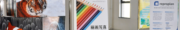 青岛图文